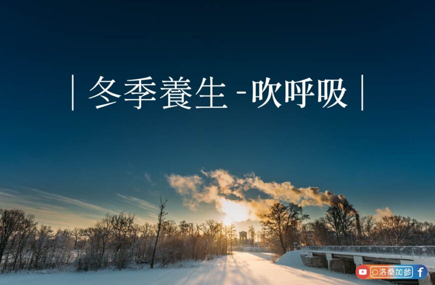 冬季最強養生法：把病氣「吹出去」，守住你的生命原動力