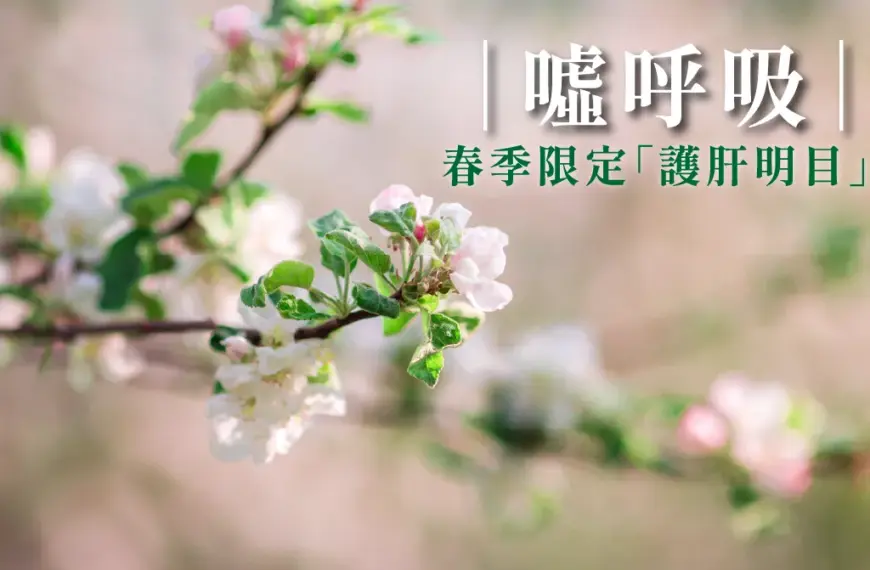 春季限定『護肝明目』：今天你『噓』呼吸了嗎？