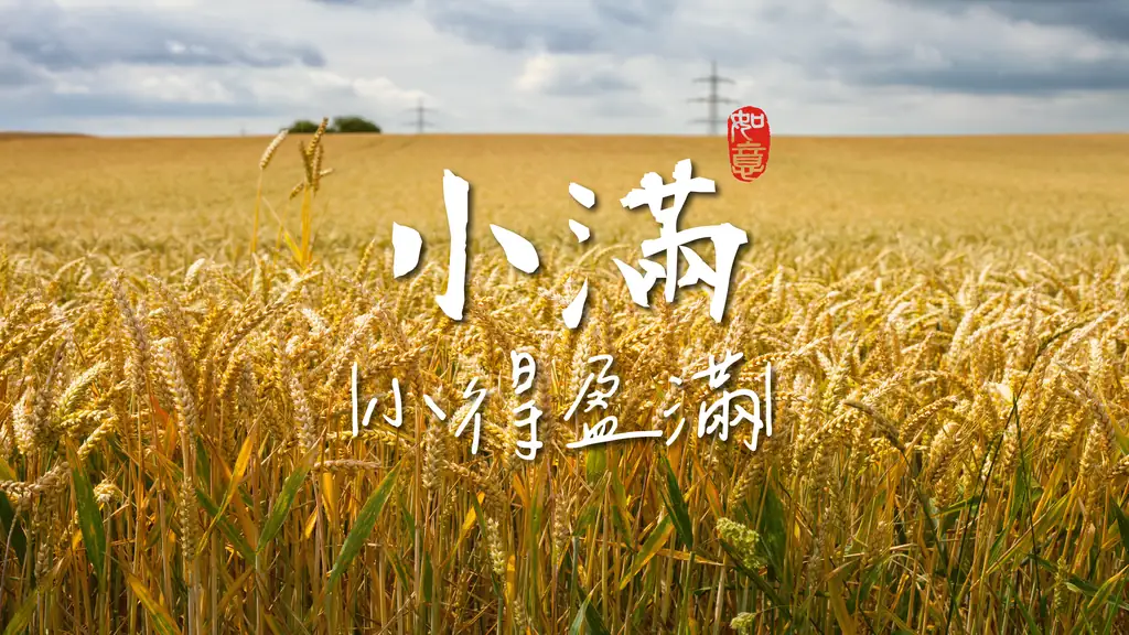 小滿，小得盈滿：掃除生活雜亂，將無用之物轉化為心靈肥料